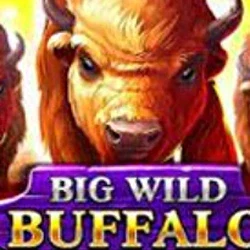 Roll XO Casino New Zealand - Games - Big Wild Buffalo